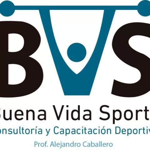 Imagen de proyecto Consultora BVS