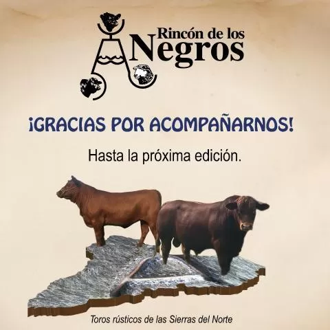 Imagen de proyecto Cabaña Rincón de los Negros